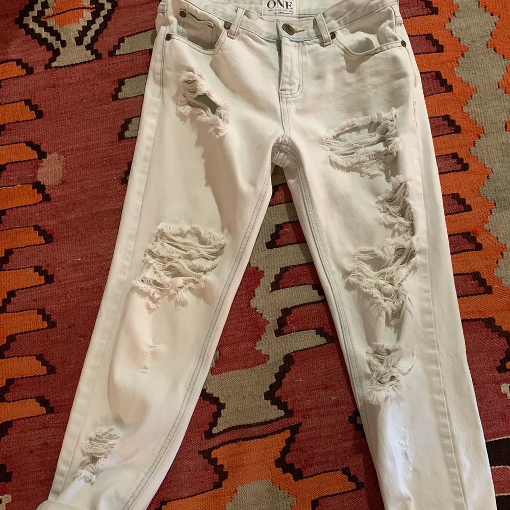 One teaspoon awesome baggies